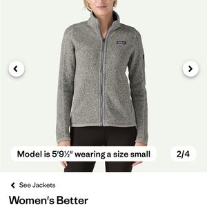 Patagonia Better Sweater Birch White (heather gray)